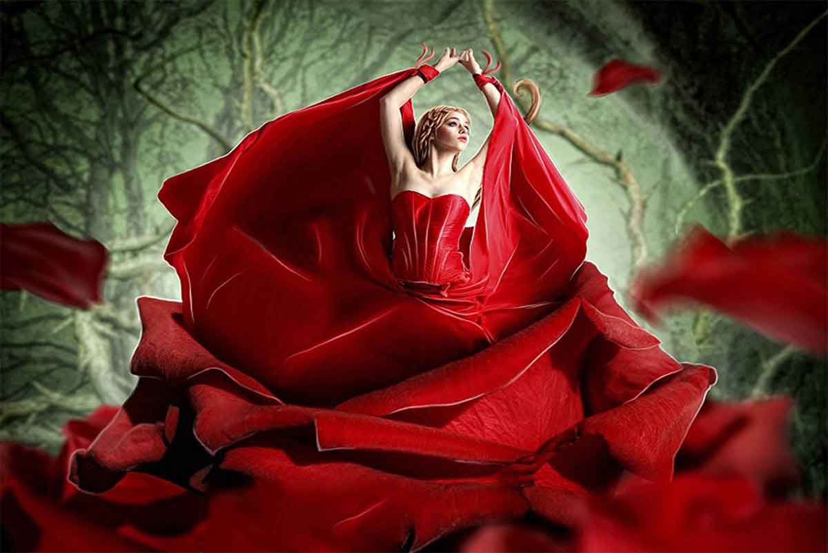 Красная, красная роза - иллюстрация