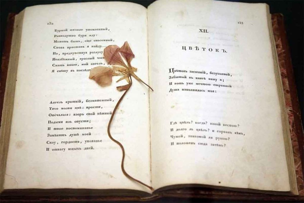 Цветок - Пушкин, иллюстрация