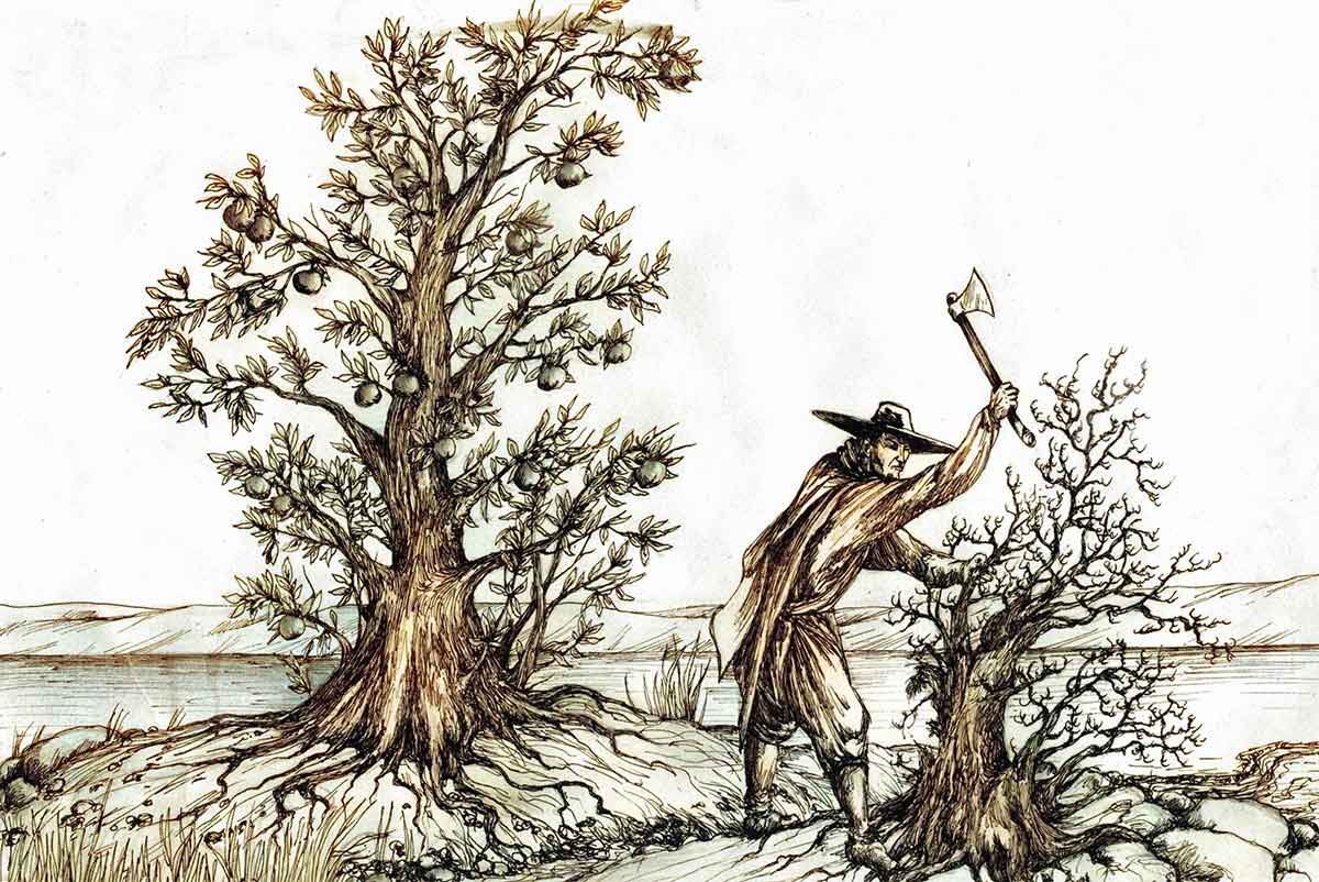 Крылов - Дерево, иллюстрация