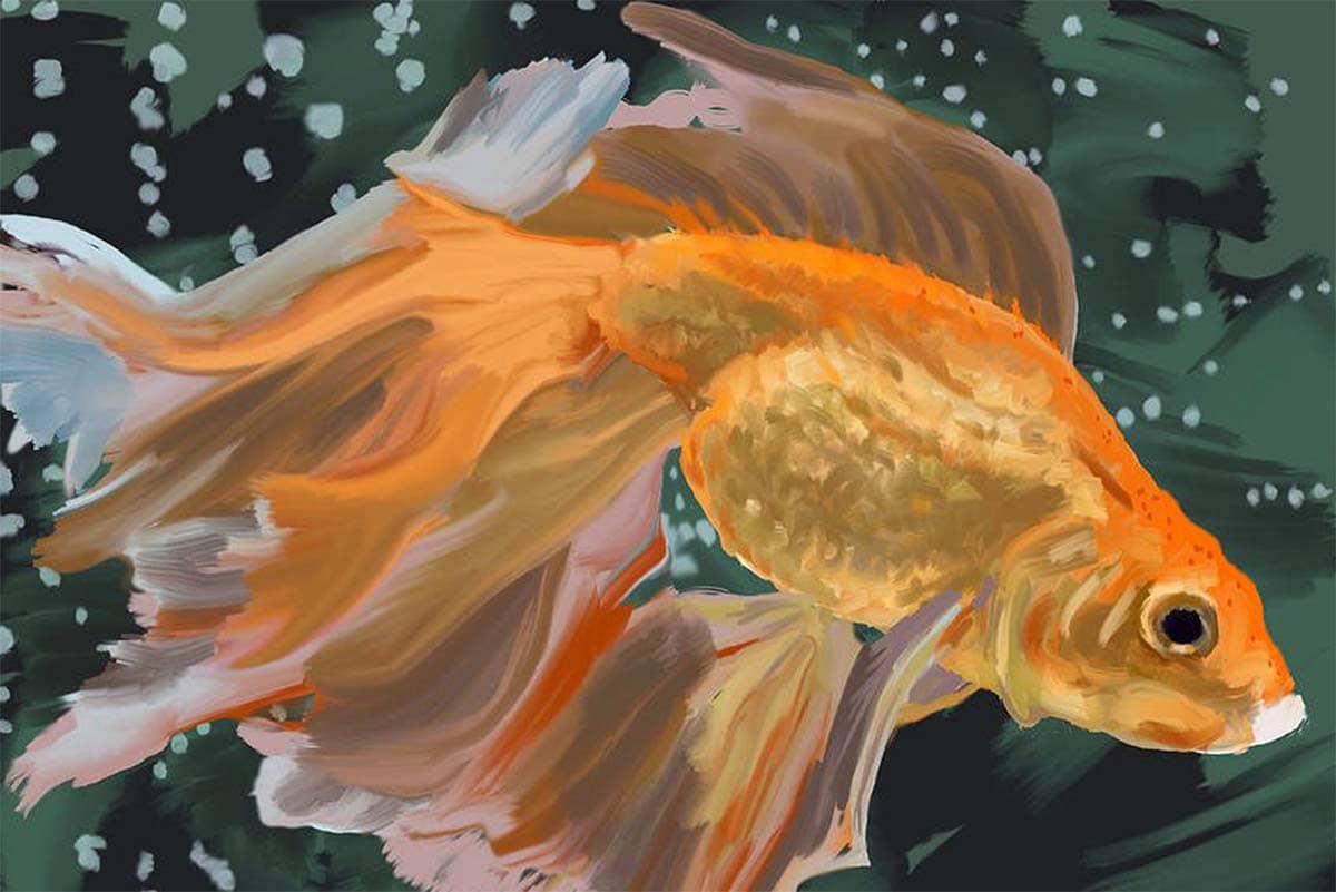 Симонов - Золотые рыбки, иллюстрация