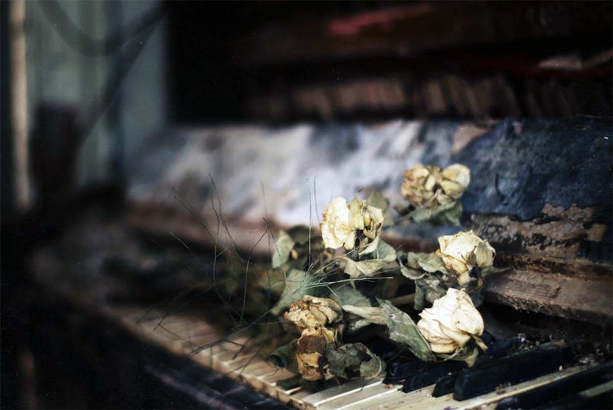 Жуковский - Цветок, иллюстрация