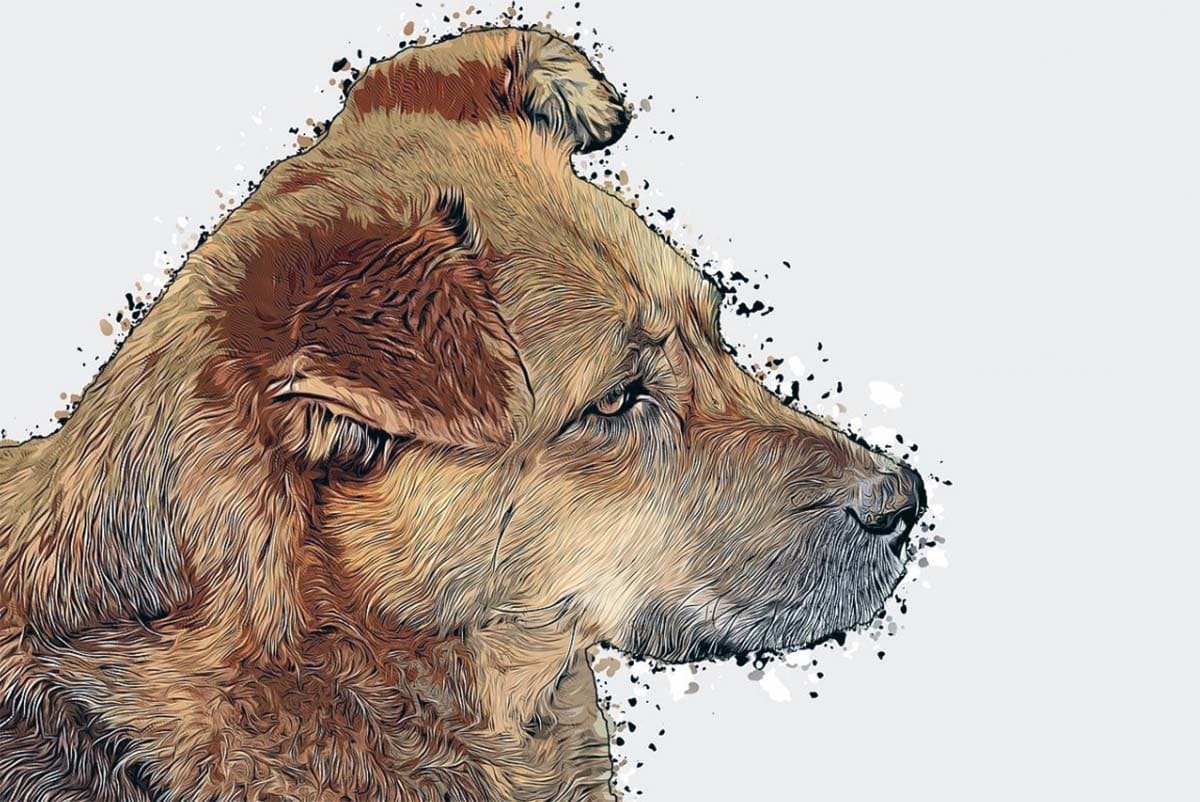 Вяземский - Битый пес, иллюстрация