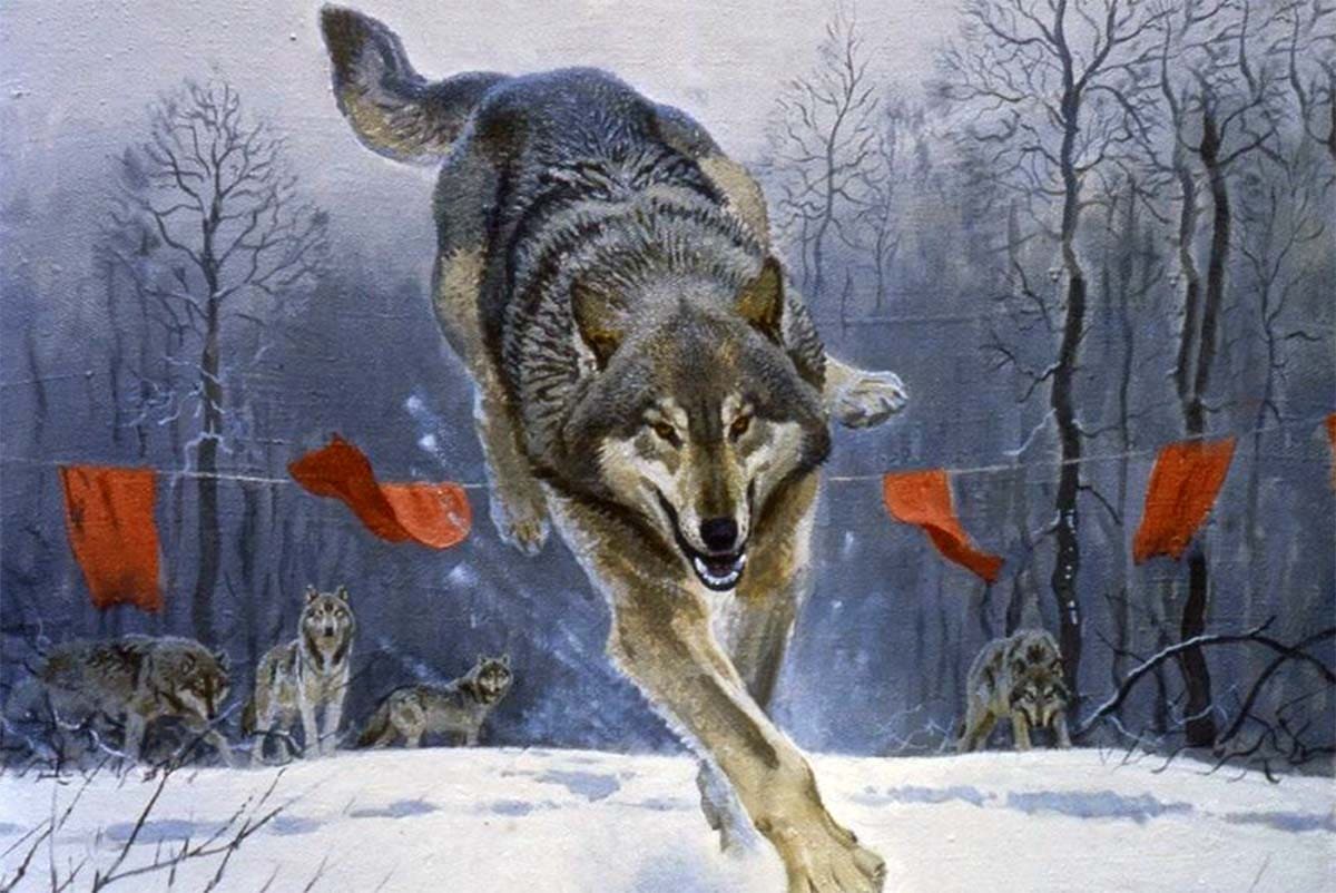 Высоцкий - Охота на волков, иллюстрация